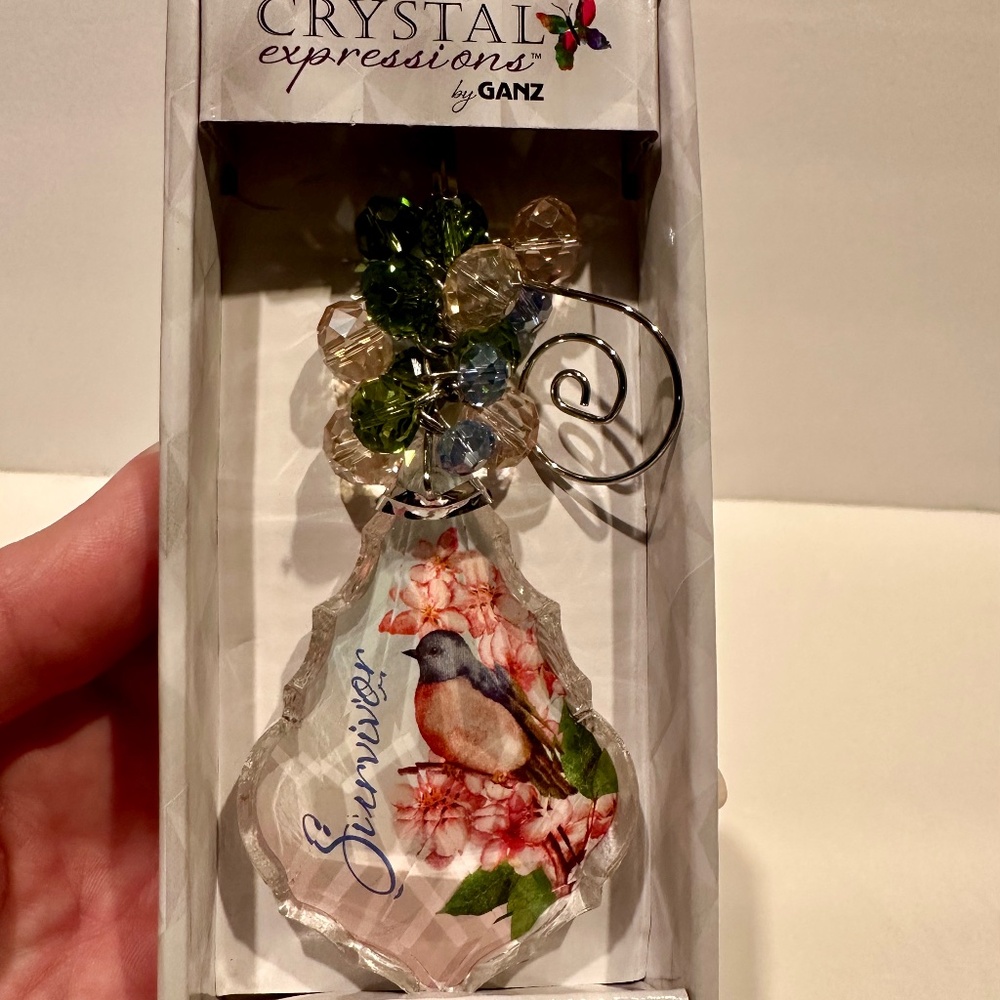 Ganz Crystal Expressions Survivor Ornament.